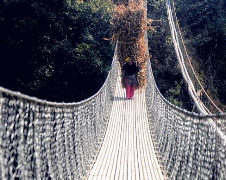 Construction of a suspension bridge shortens walking distance
